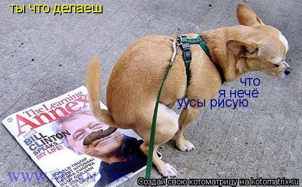 ты что делаеш что я нечё уусы рисую... Котоматрица: ты что делаеш что я нечё уусы рисую