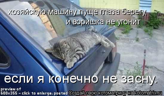 хозяйскую машину пуще глаза берегу, и воришка не угонит если я конечно не засну.... Котоматрица: хозяйскую машину пуще глаза берегу, и воришка не угонит если я конечно не засну.