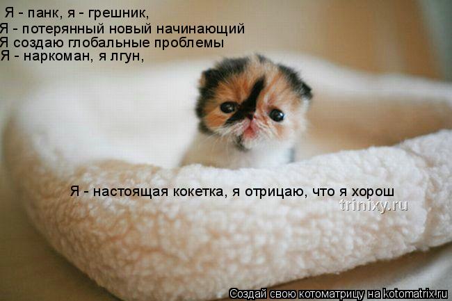 Я - панк, я - грешник, Я - потерянный новый начинающий Я создаю глобальные проблемы Я - наркоман, я... Котоматрица: Я - панк, я - грешник, Я - потерянный новый начинающий Я создаю глобальные проблемы Я - наркоман, я лгун, Я - настоящая кокетка, я отрицаю, что я