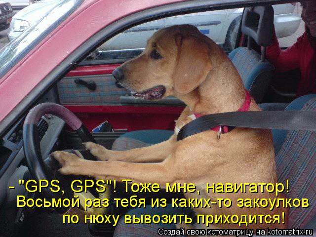- "GPS, GPS"! Тоже мне, навигатор! Восьмой раз тебя из каких-то закоулков по нюху вывозить приходится... Котоматрица: - "GPS, GPS"! Тоже мне, навигатор! Восьмой раз тебя из каких-то закоулков по нюху вывозить приходится!