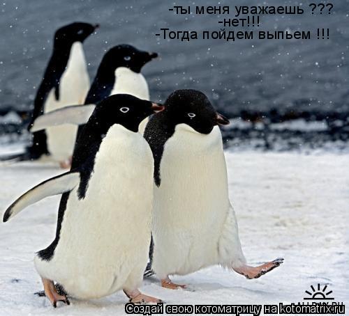 -ты меня уважаешь ??? -нет!!! -Тогда пойдем выпьем !!!... Котоматрица: -ты меня уважаешь ??? -нет!!! -Тогда пойдем выпьем !!!