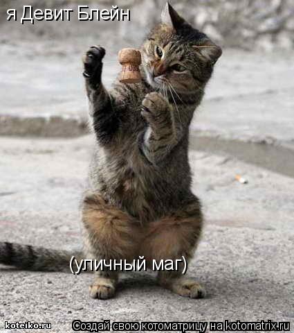 Котоматрица: я Девит Блейн (уличный маг)