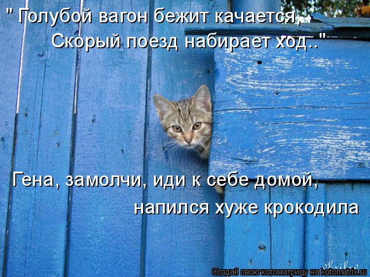 " Голубой вагон бежит качается, Скорый поезд набирает ход.." Гена, замолчи, иди к себе домой, напилс... Котоматрица: " Голубой вагон бежит качается, Скорый поезд набирает ход.." Гена, замолчи, иди к себе домой, напился хуже крокодила