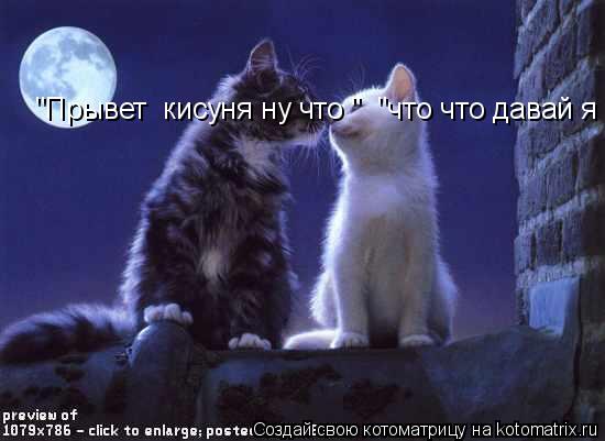 "Прывет кисуня ну что " "что что давай я уже год ждала... Котоматрица: "Прывет кисуня ну что " "что что давай я уже год ждала