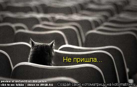 Не пришла...... Котоматрица: Не пришла...
