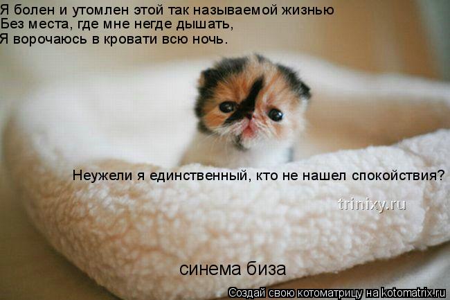 Я болен и утомлен этой так называемой жизнью Без места, где мне негде дышать, Я ворочаюсь в кровати ... Котоматрица: Я болен и утомлен этой так называемой жизнью Без места, где мне негде дышать, Я ворочаюсь в кровати всю ночь. Неужели я единственный, кто не