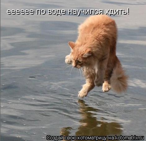 Котоматрица: ееееее по воде научился хдить!