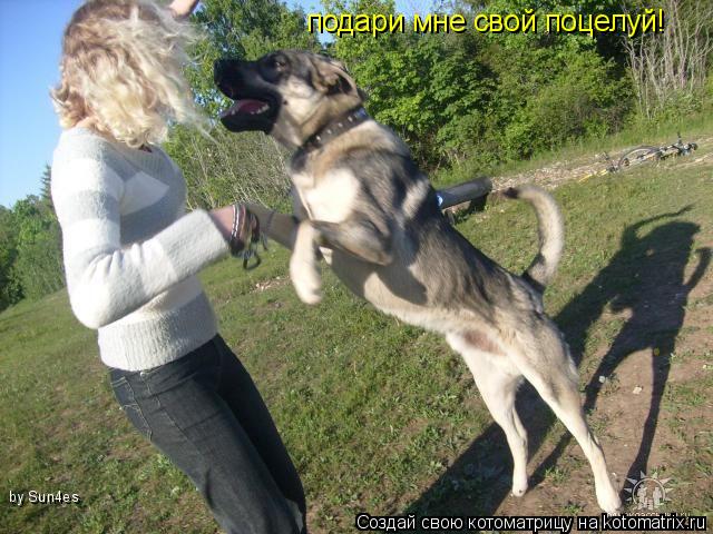 подари мне свой поцелуй! by Sun4es... Котоматрица: подари мне свой поцелуй! by Sun4es
