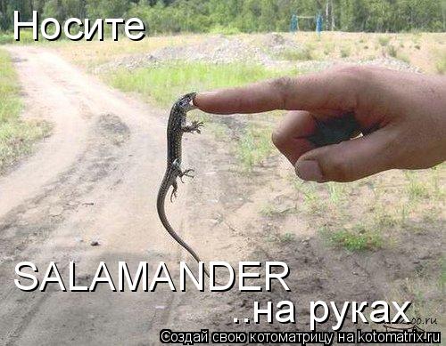 Носите ..на руках SALAMANDER... Котоматрица: Носите ..на руках SALAMANDER
