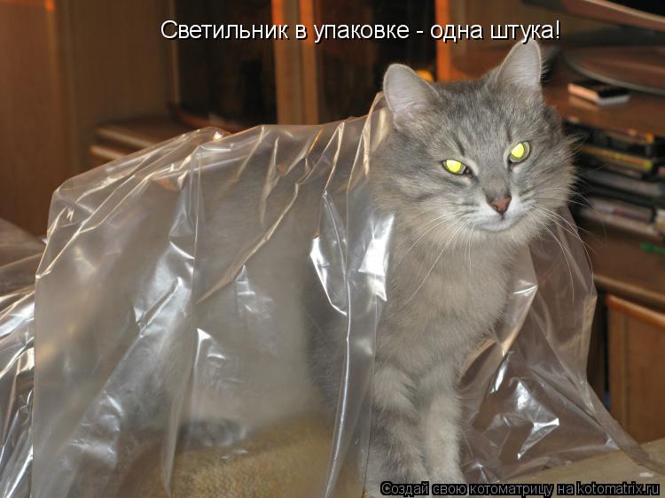 Котоматрица: Светильник в упаковке - одна штука!