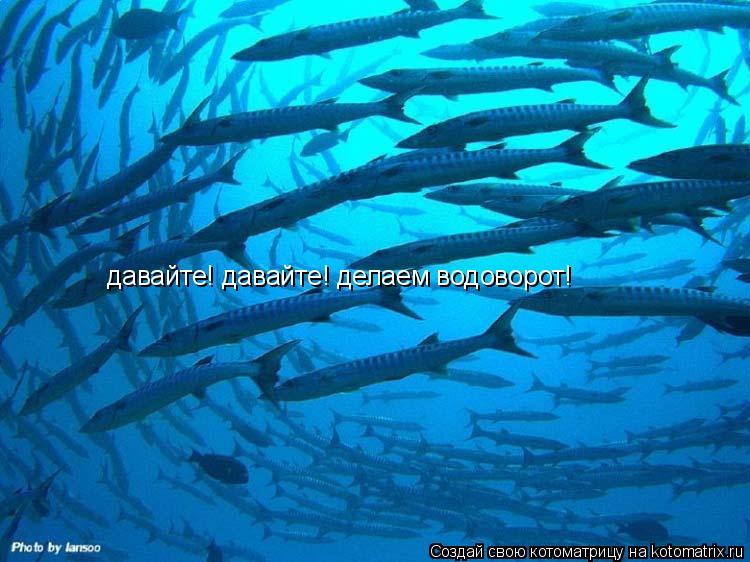 давайте! давайте! делаем водоворот!... Котоматрица: давайте! давайте! делаем водоворот!