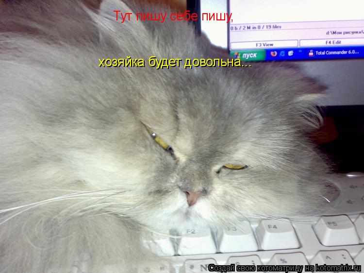 Тут пишу себе пишу, хозяйка будет довольна...... Котоматрица: Тут пишу себе пишу, хозяйка будет довольна...
