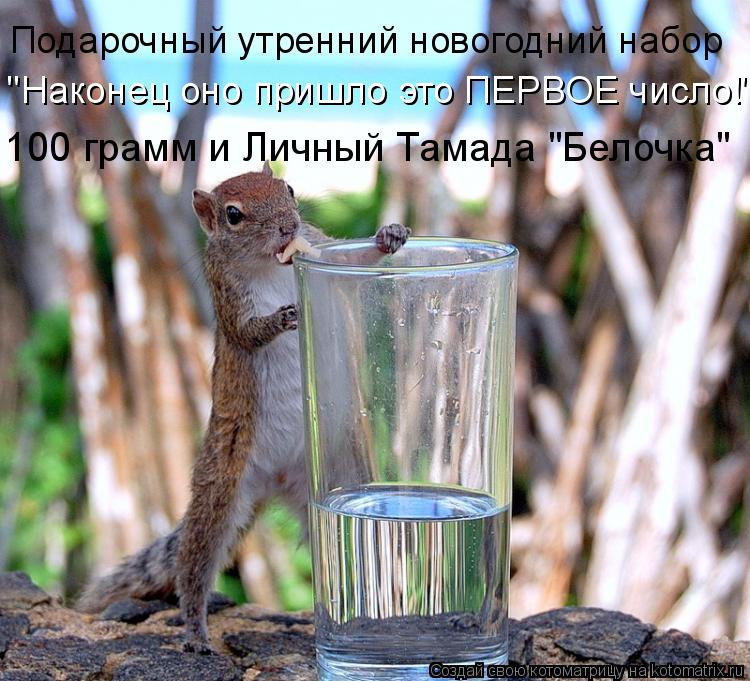 Котоматрица: 100 грамм и Личный Тамада "Белочка"   "Наконец оно пришло это ПЕРВОЕ число!" Подарочный утренний новогодний набор