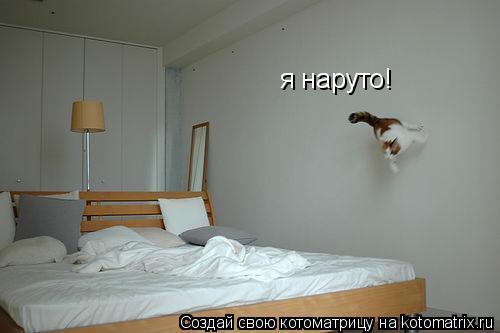 Котоматрица: я наруто!