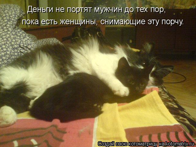 Котоматрица: Деньги не портят мужчин до тех пор, пока есть женщины, снимающие эту порчу.