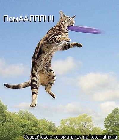 ПомААЛЛЛ!!!!... Котоматрица: ПомААЛЛЛ!!!!