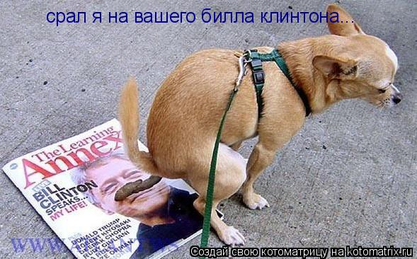 срал я на вашего билла клинтона...... Котоматрица: срал я на вашего билла клинтона...