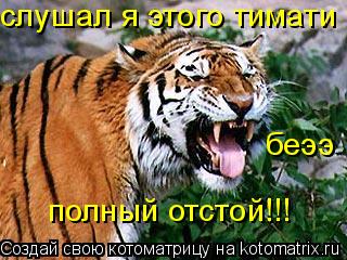 слушал я этого тимати беээ полный отстой!!!... Котоматрица: слушал я этого тимати беээ полный отстой!!!