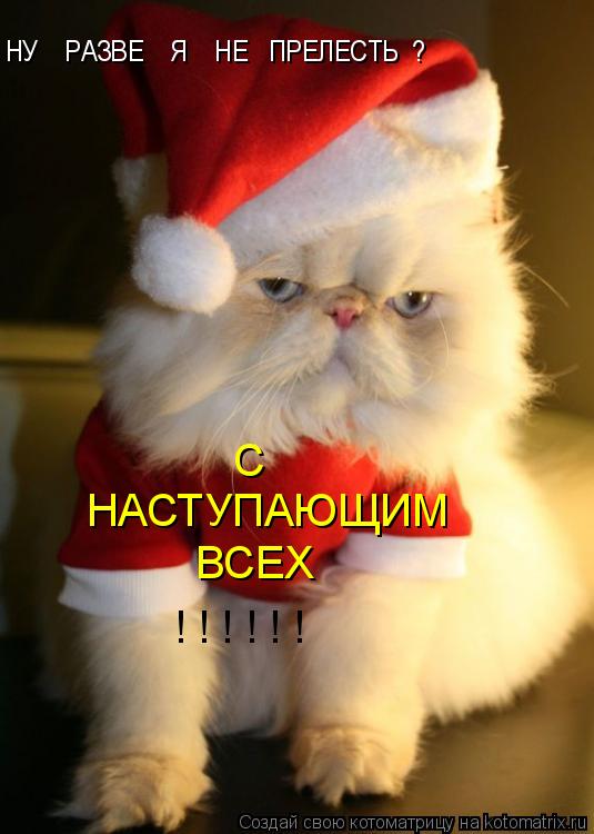 НУ РАЗВЕ Я НЕ ПРЕЛЕСТЬ ? НАСТУПАЮЩИМ ВСЕХ С ! ! ! ! ! !... Котоматрица: НУ РАЗВЕ Я НЕ ПРЕЛЕСТЬ ? НАСТУПАЮЩИМ ВСЕХ С ! ! ! ! ! !