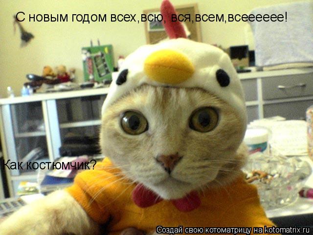 С новым годом всех,всю, вся,всем,всееееее! Как костюмчик?... Котоматрица: С новым годом всех,всю, вся,всем,всееееее! Как костюмчик?