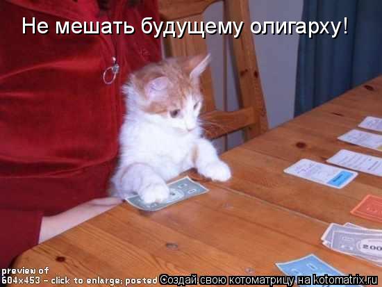 Не мешать будущему олигарху!... Котоматрица: Не мешать будущему олигарху!