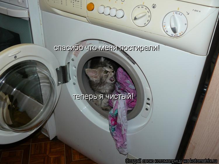 Котоматрица: спасибо что меня постирали! теперь я чистый!
