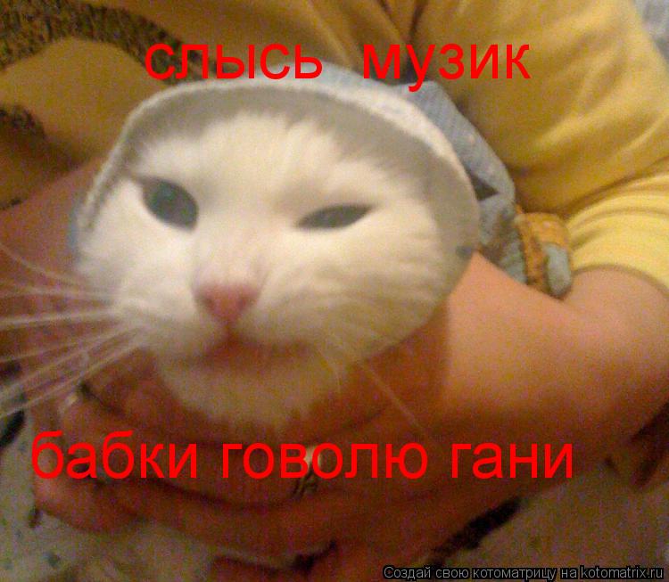 Котоматрица: слысь  музик бабки говолю гани