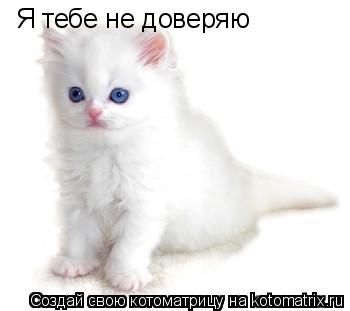 Котоматрица: Я тебе не доверяю