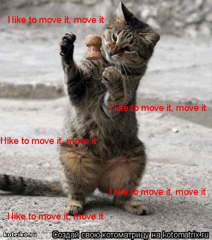 I like to move it, move it I like to move it, move it I like to move it, move it I like to move it... Котоматрица: I like to move it, move it I like to move it, move it I like to move it, move it I like to move it, move it I like to move it, move it