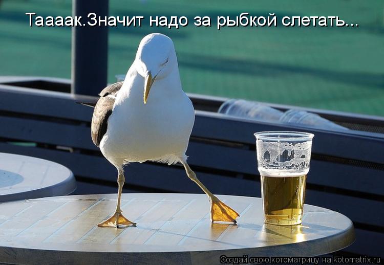 Котоматрица: Таааак.Значит надо за рыбкой слетать...