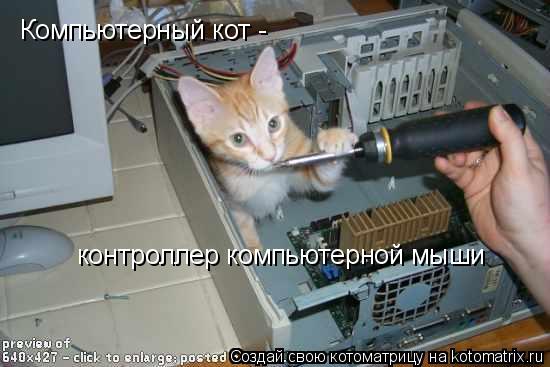 Компьютерный кот - контроллер компьютерной мыши... Котоматрица: Компьютерный кот - контроллер компьютерной мыши