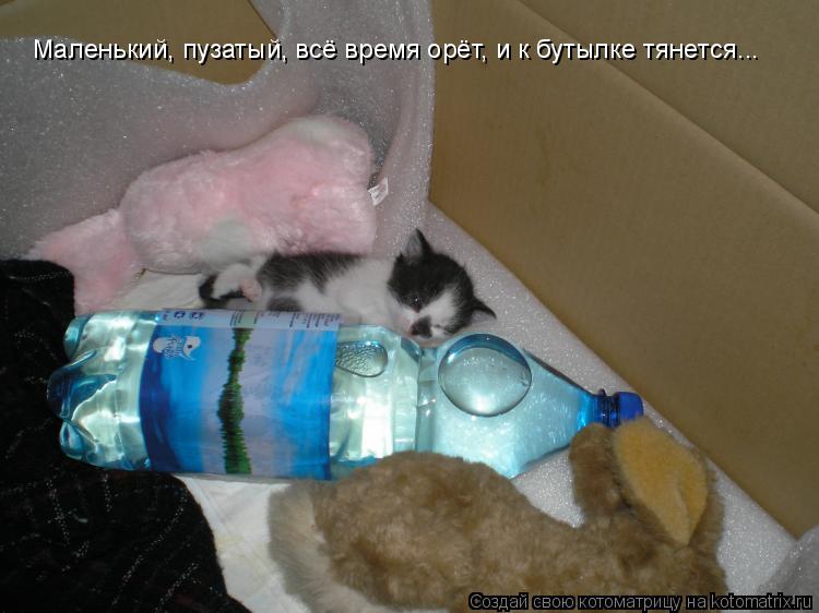 Маленький, пузатый, всё время орёт, и к бутылке тянется...... Котоматрица: Маленький, пузатый, всё время орёт, и к бутылке тянется...