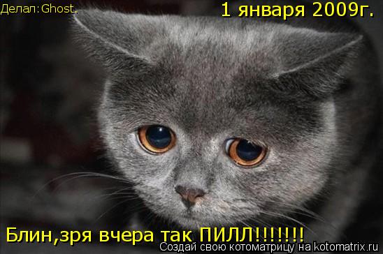 Блин,зря вчера так ПИЛЛ!!!!!!! 1 января 2009г. Делал:Ghost.... Котоматрица: Блин,зря вчера так ПИЛЛ!!!!!!! 1 января 2009г. Делал:Ghost.