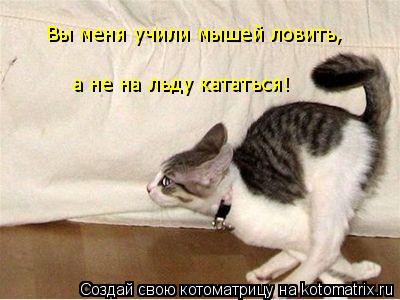 Вы меня учили мышей ловить, а не на льду кататься!... Котоматрица: Вы меня учили мышей ловить, а не на льду кататься!