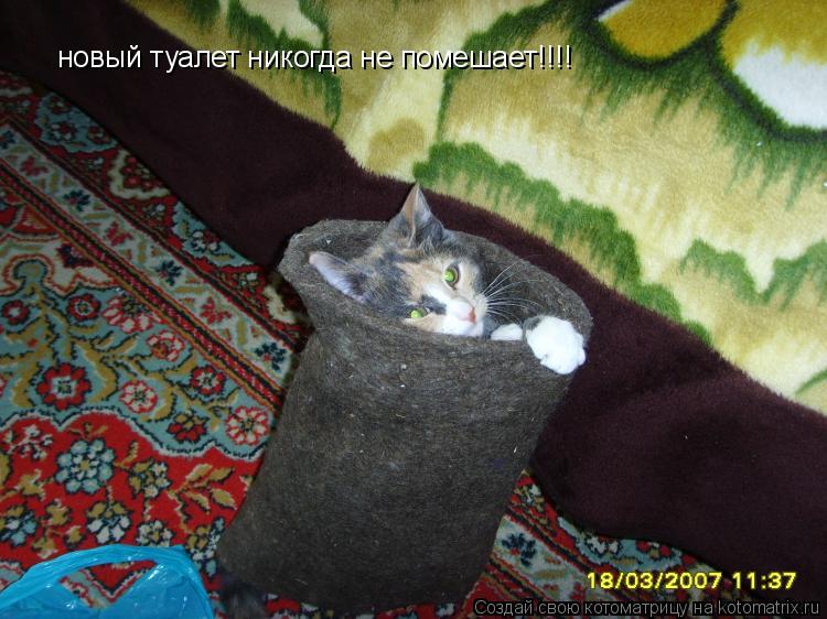 новый туалет никогда не помешает!!!!... Котоматрица: новый туалет никогда не помешает!!!!
