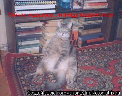 Котоматрица: Сейчас отдышусь... и пойду подкреплюсь! Сейчас отдышусь... и пойду подкреплюсь!
