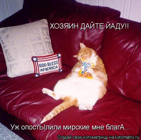 Уж опостЫлили мирские мне благА... ХОЗЯИН ДАЙТЕ ЙАДУ!!... Котоматрица: Уж опостЫлили мирские мне благА... ХОЗЯИН ДАЙТЕ ЙАДУ!!