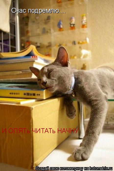 Котоматрица: Счас подремлю.... И ОПЯТь ЧИТАТь НАЧНУ