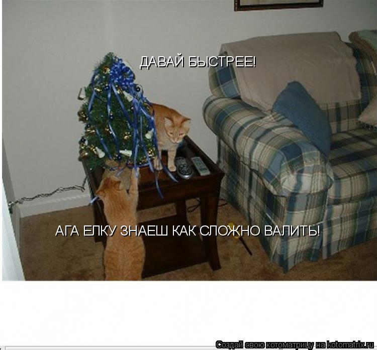 Котоматрица: ДАВАЙ БЫСТРЕЕ! АГА ЕЛКУ ЗНАЕШ КАК СЛОЖНО ВАЛИТЬ!