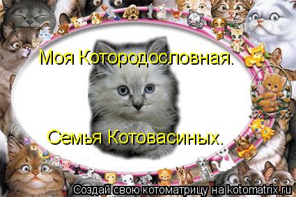 Семья Котовасиных. Моя Котородословная.... Котоматрица: Семья Котовасиных. Моя Котородословная.