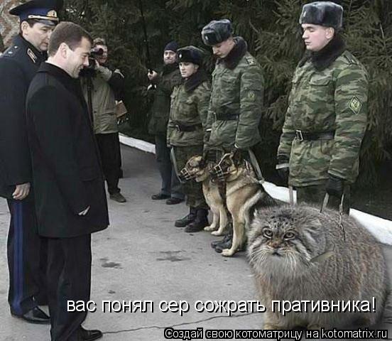 Котоматрица: вас понял сер сожрать пративника!