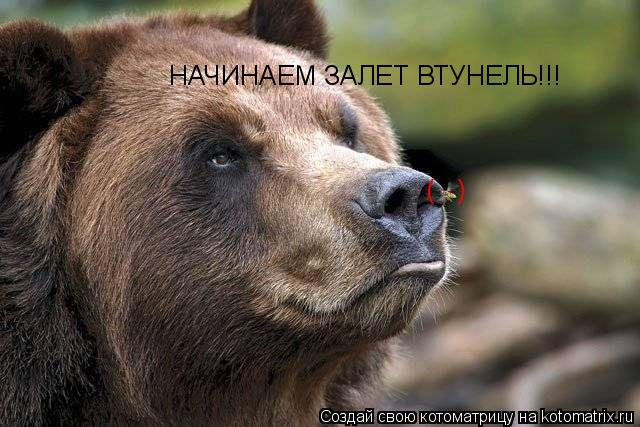Котоматрица: НАЧИНАЕМ ЗАЛЕТ ВТУНЕЛЬ!!! (   )