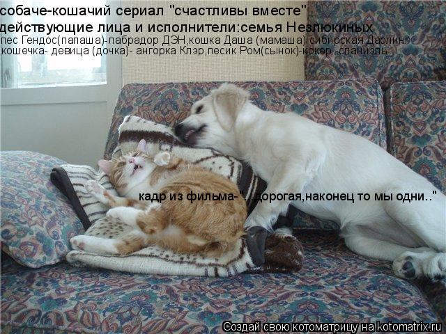 собаче-кошачий сериал "счастливы вместе" действующие лица и исполнители:семья Незлюкиных пес Гендос(п... Котоматрица: собаче-кошачий сериал "счастливы вместе" действующие лица и исполнители:семья Незлюкиных пес Гендос(папаша)-лабрадор ДЭН,кошка Даша (мамаш