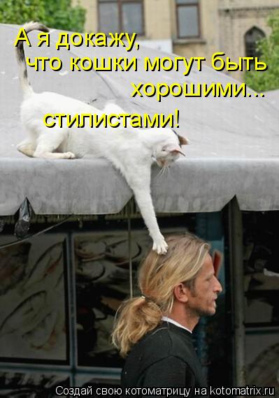Котоматрица: А я докажу, что кошки могут быть  стилистами!  хорошими...