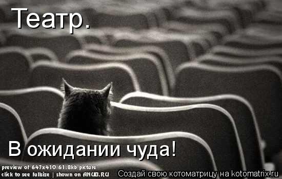 Театр. В ожидании чуда!... Котоматрица: Театр. В ожидании чуда!