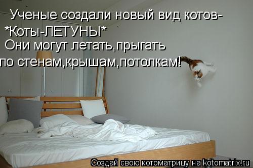 Котоматрица: Ученые создали новый вид котов- *Коты-ЛЕТУНЫ* Они могут летать,прыгать по стенам,крышам,потолкам!