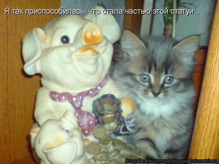 Котоматрица: Я так приспособилась, что стала частью этой статуи...