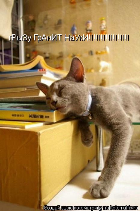 Котоматрица: гРыЗу ГрАнИТ НаУкИ!!!!!!!!!!!!!!!!!