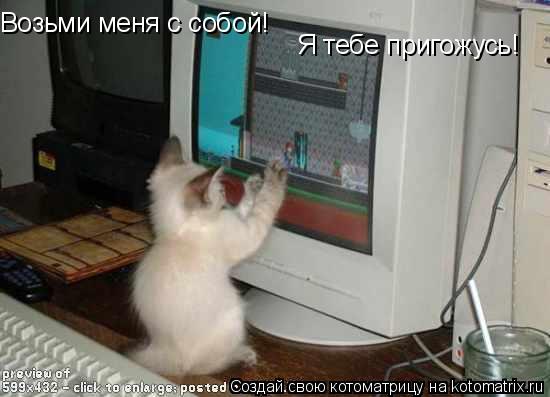 Возьми меня с собой! Я тебе пригожусь!... Котоматрица: Возьми меня с собой! Я тебе пригожусь!