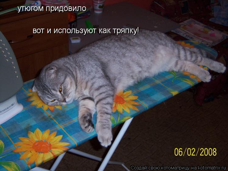 Котоматрица: утюгом придовило вот и используют как тряпку!